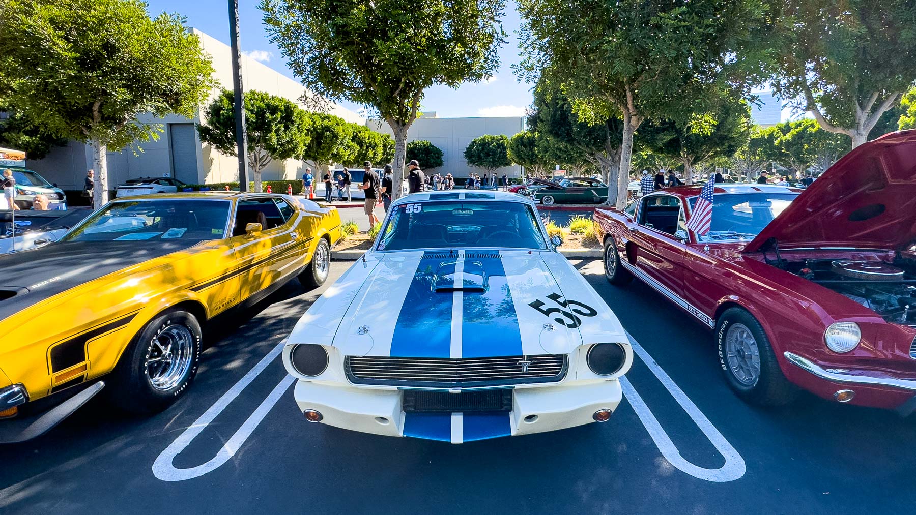 P&P California - 108