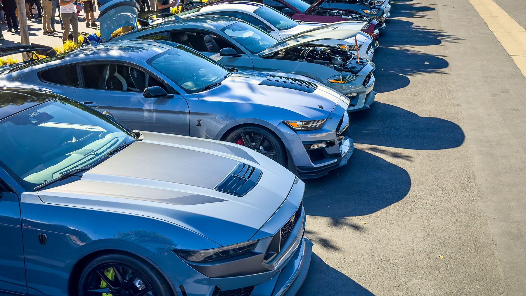 P&P California - 111